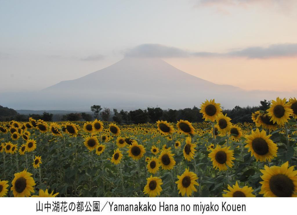 Pension Country Diary Yamanakako Buitenkant foto